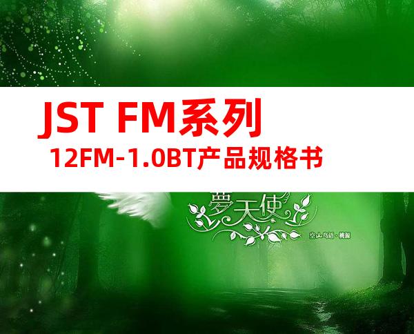 JST FM系列 12FM-1.0BT产品规格书